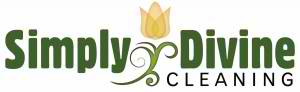 SD-Logo1-300x92